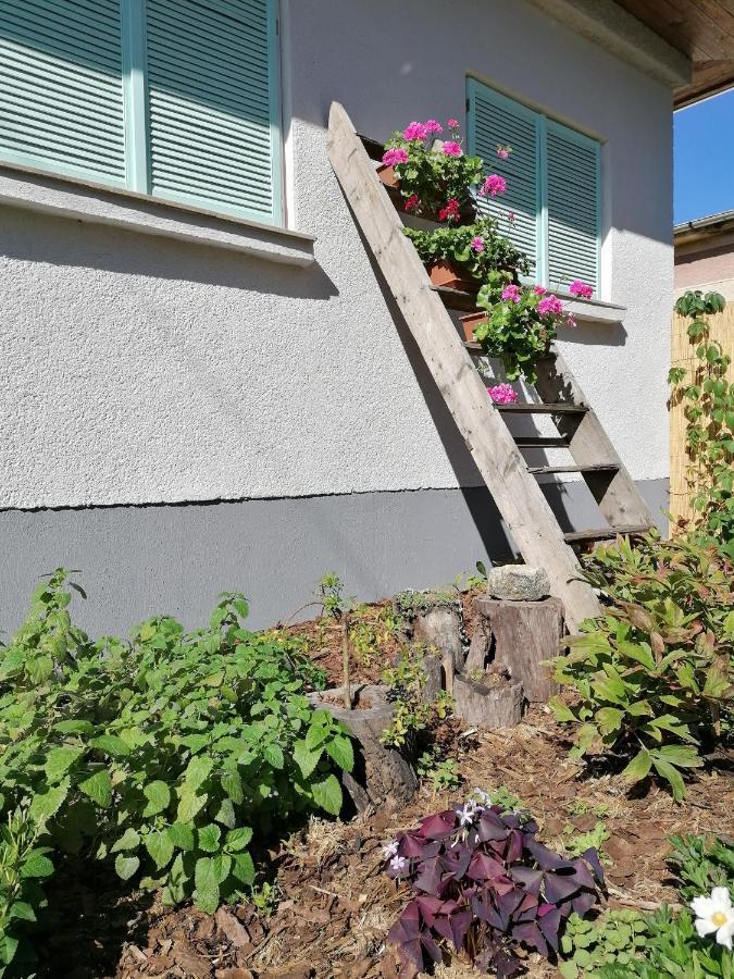 Menta Apartman Mezőkövesd Exterior foto